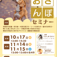 画像285