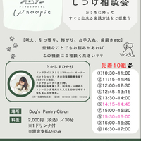 画像289
