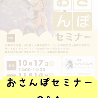 画像297