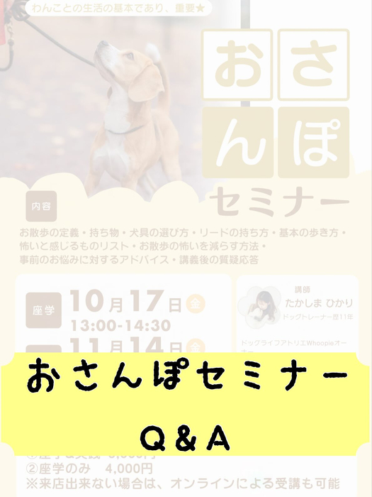 画像297