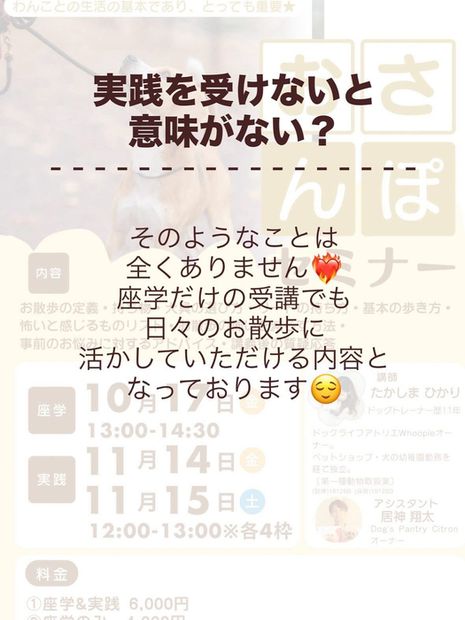 画像299