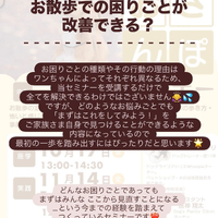 画像300