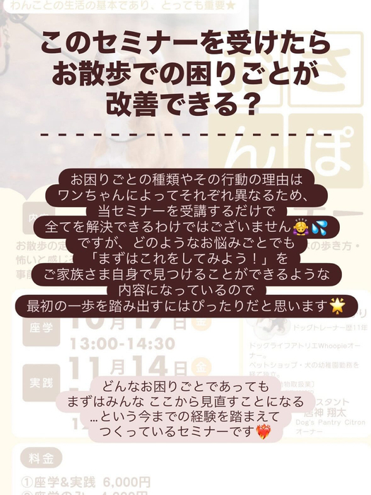 画像300