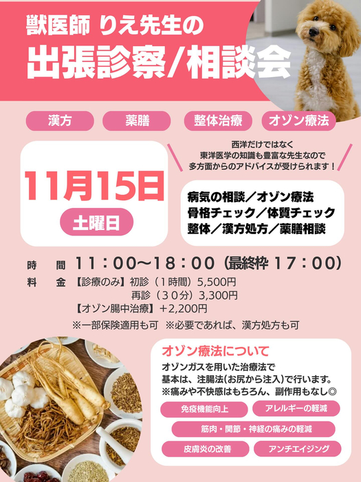画像304
