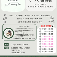 画像306