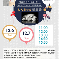 画像314