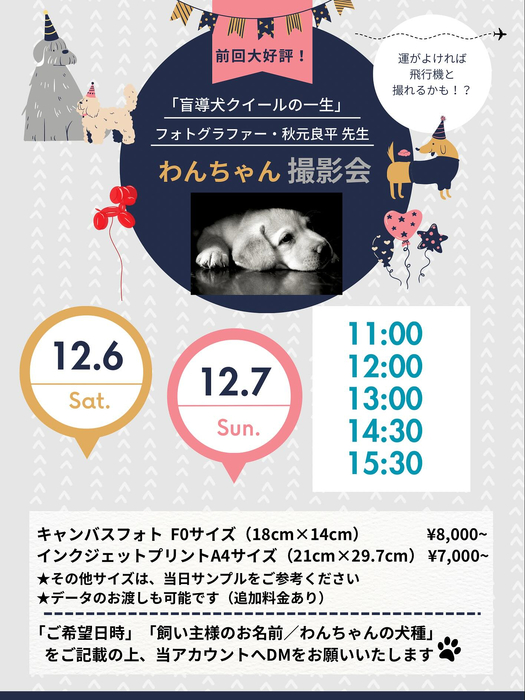 画像314
