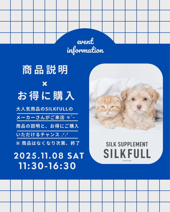画像318