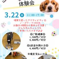 画像408
