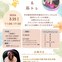 画像410