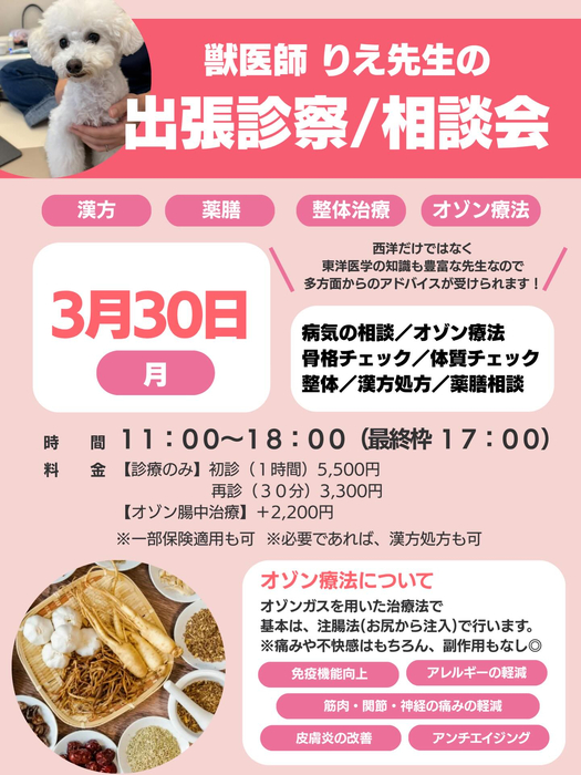 画像439