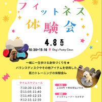 画像441