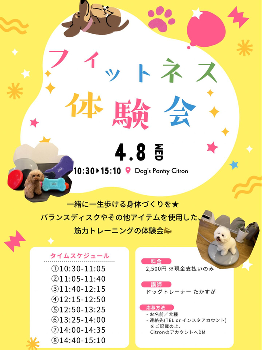 画像441