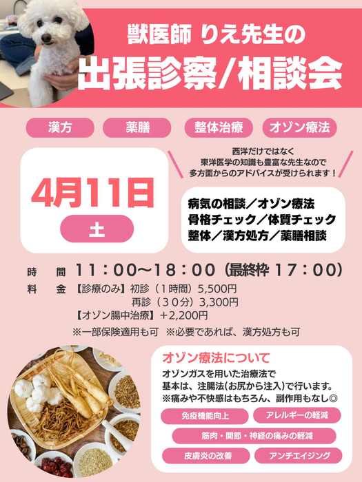 画像443