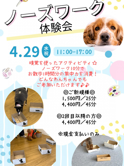 画像446