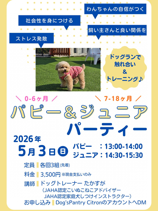 画像448