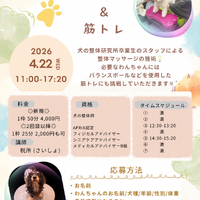 画像456
