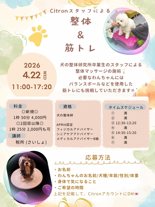 画像456