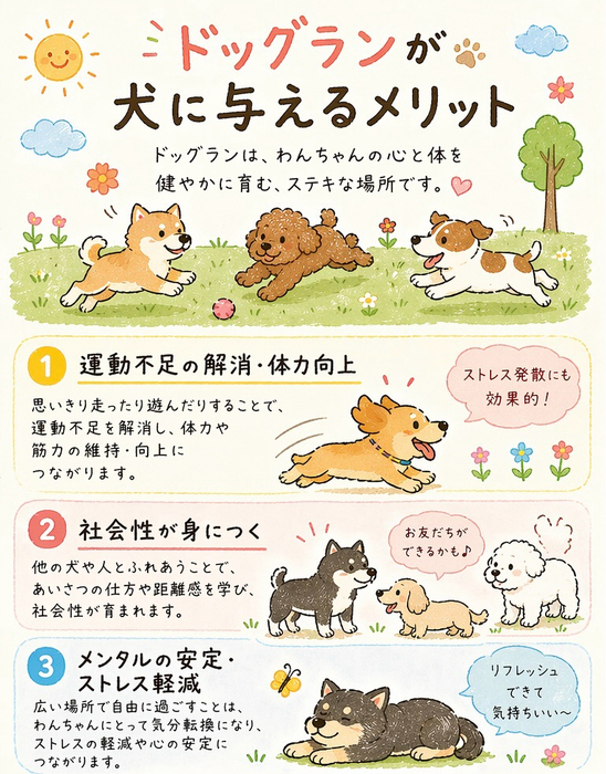 画像458