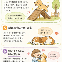 画像459