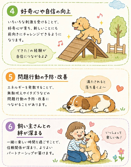 画像459