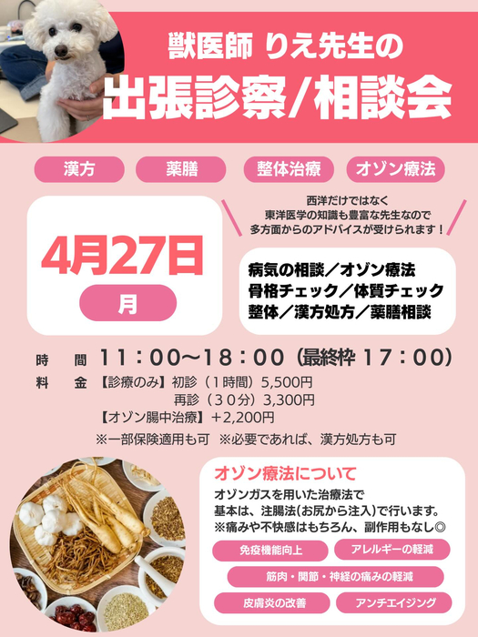 画像462