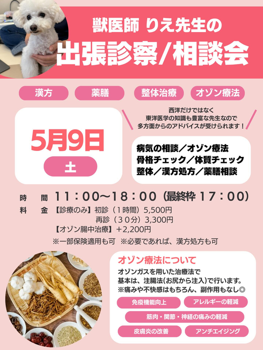 画像466