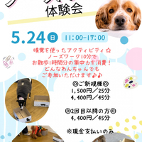 画像473