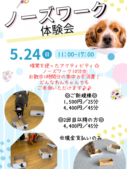 画像473