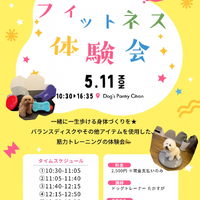 画像481
