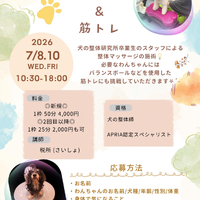 画像526