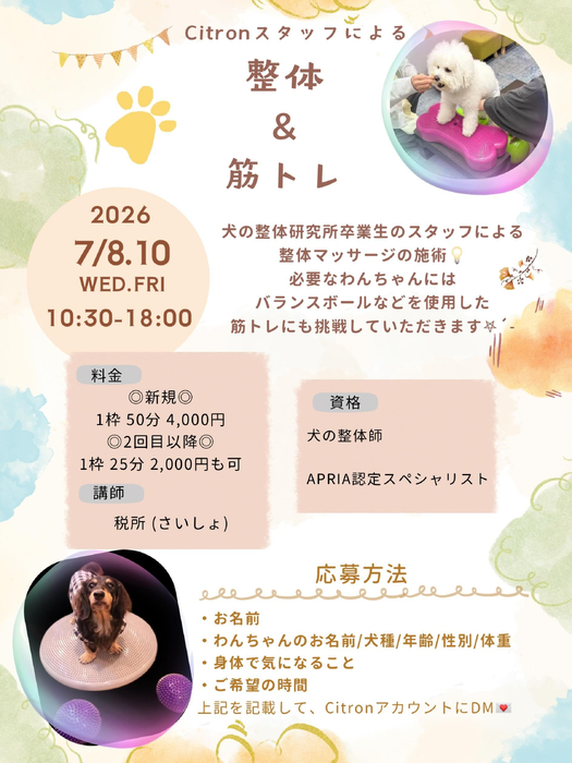 画像526