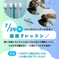 画像532