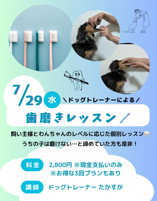 画像532