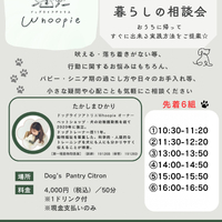 画像584