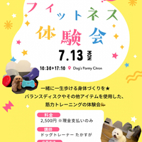 画像586
