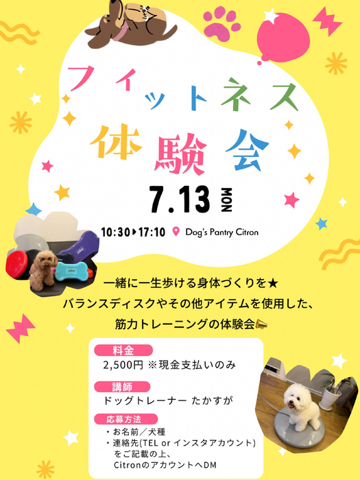 画像586