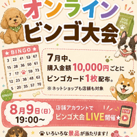 画像589