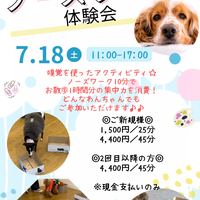 画像596