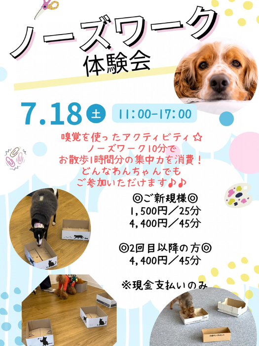 画像596