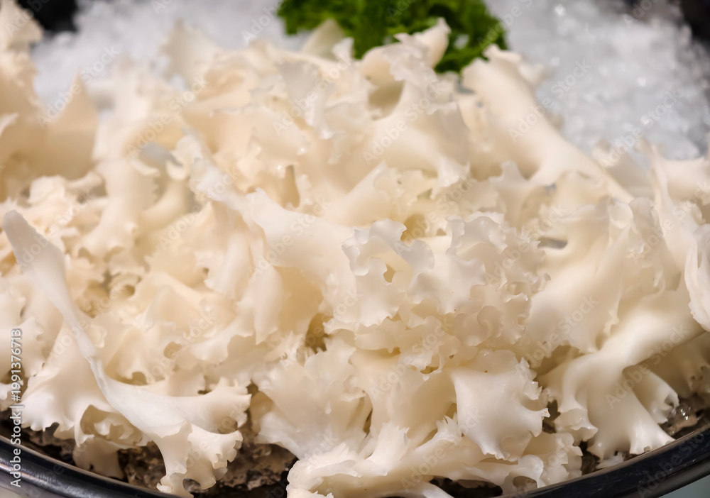 お肉の割合は驚異の95％！牛すね肉とトマトの極上レシピ